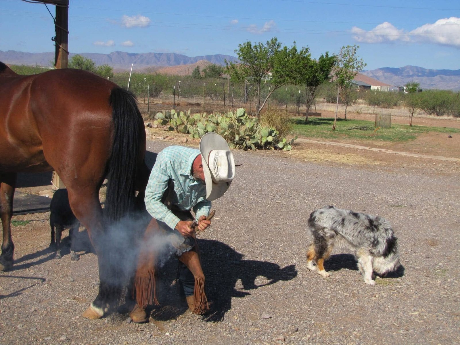 Ranch & Equine Services