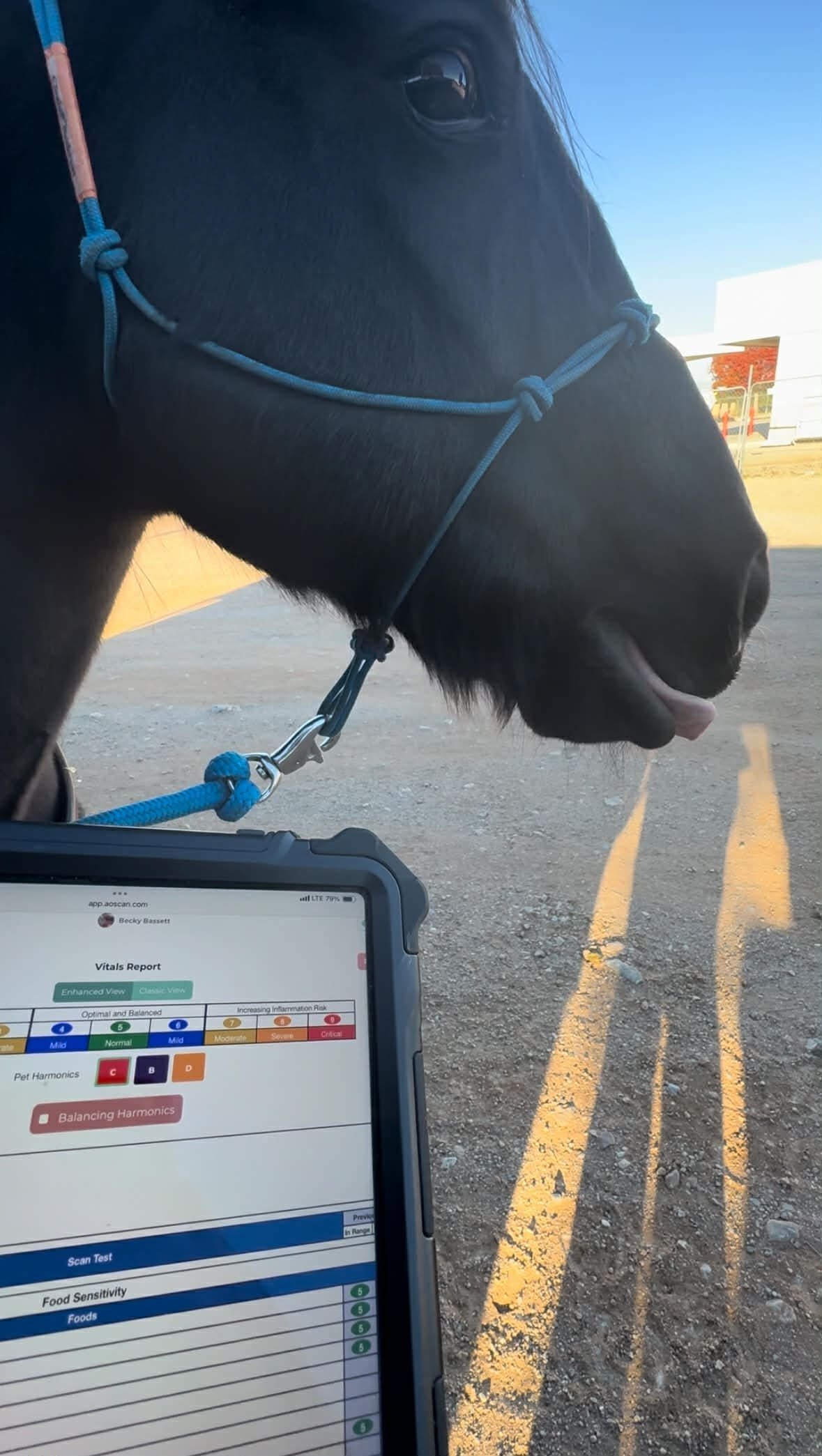 Becky with horse
