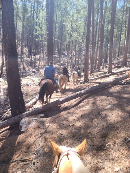 Trail Riding with a group from Horse Campground in Pearce Arizona