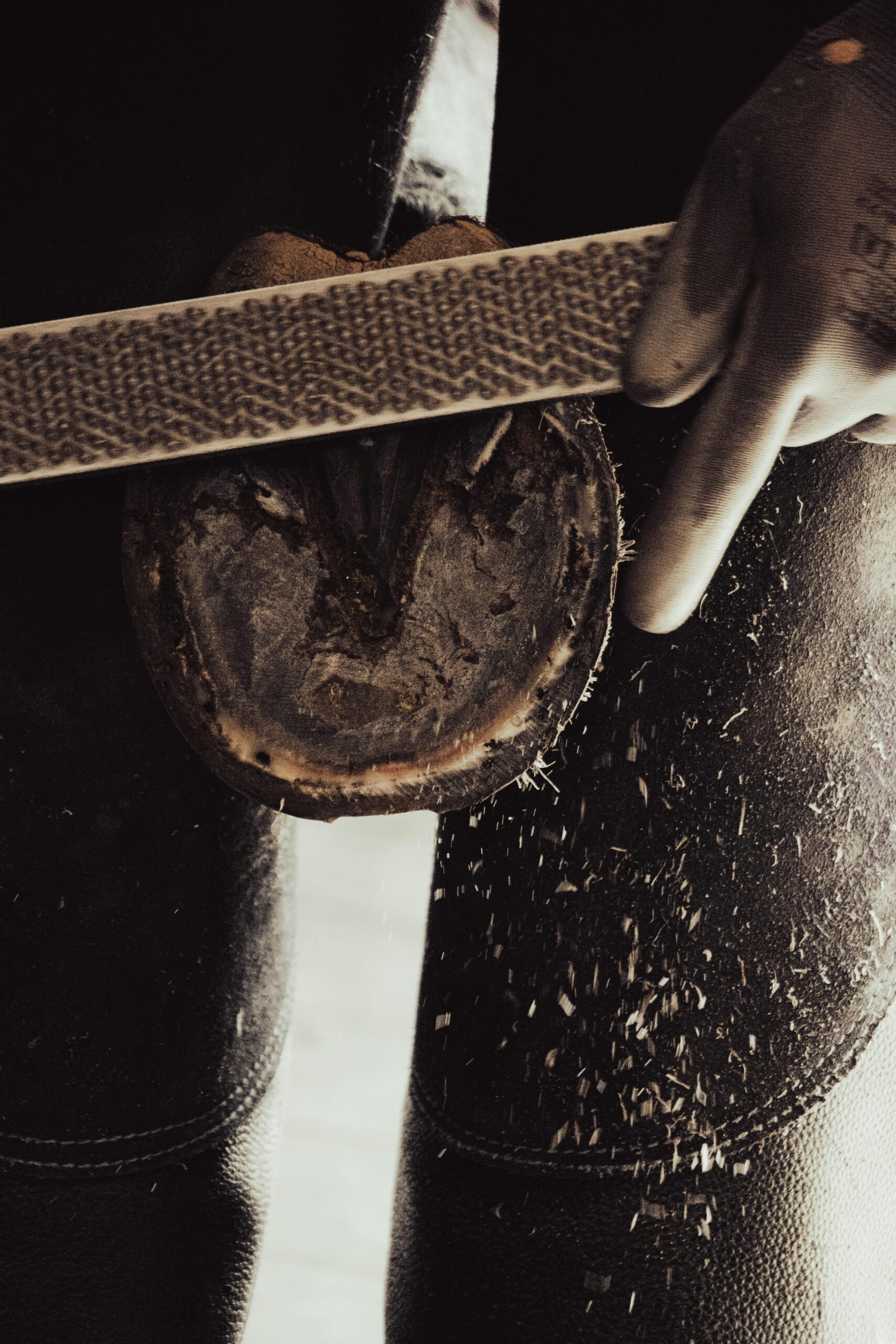 Farrier Services